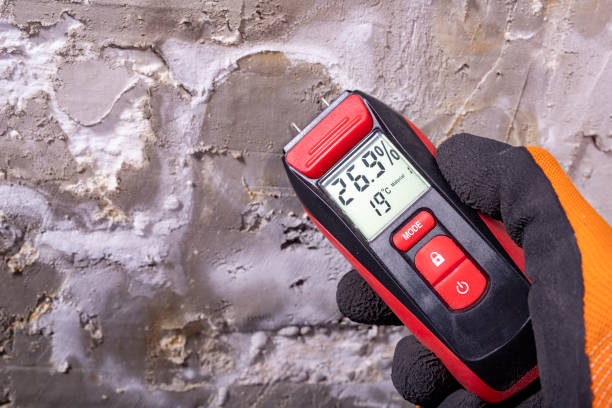Best Mold Testing and Removal  in Winter Park, FL